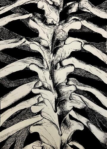 spine
